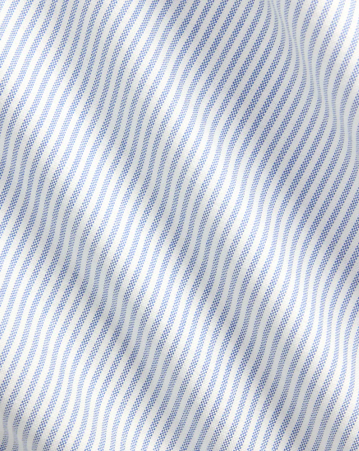 Polo Ralph Lauren - Striped Oxford Sport Shirt in Blue Classic Fit - Image 4