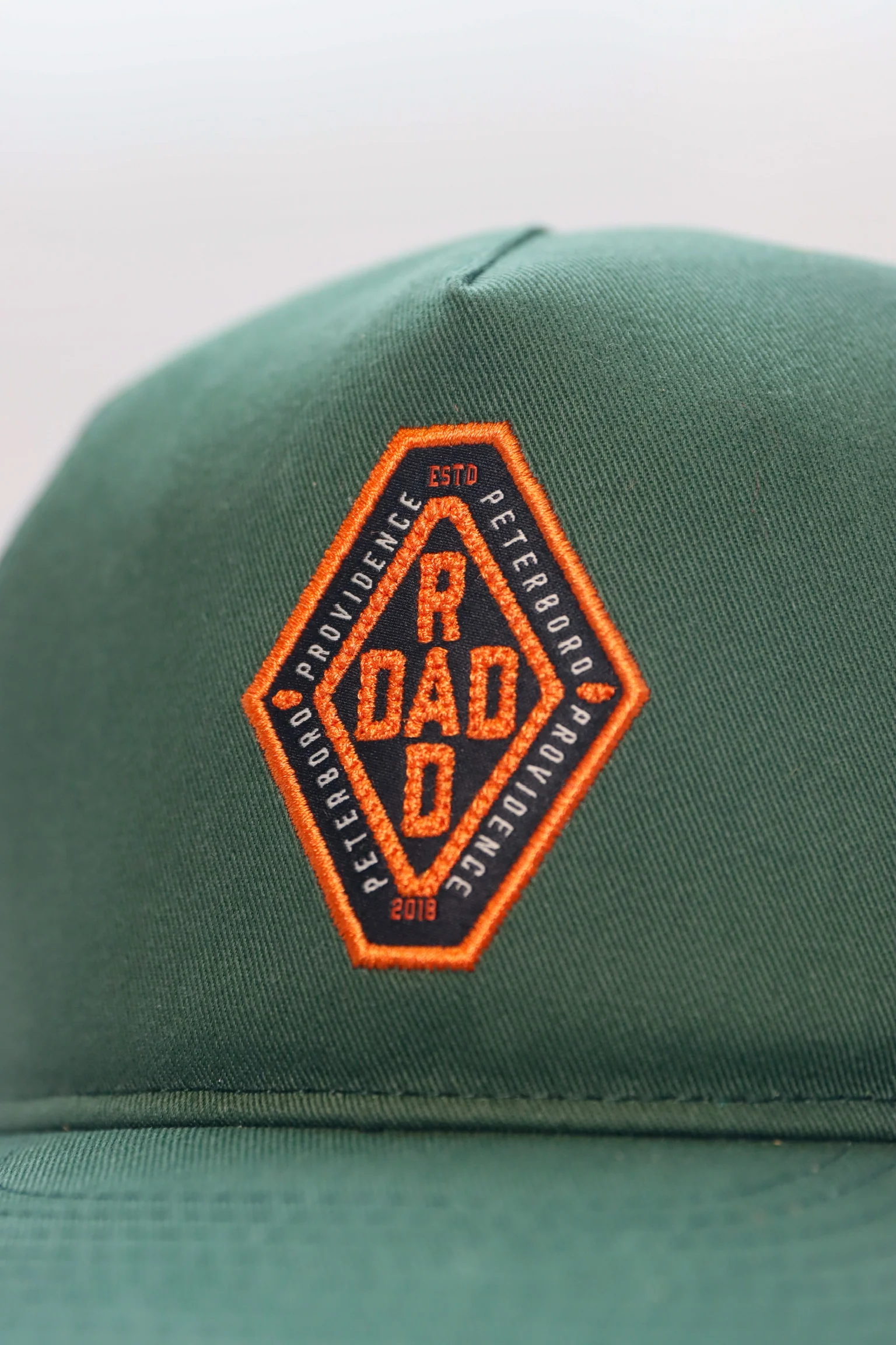 Providence - Rad Dad Snapback in Green - Image 2