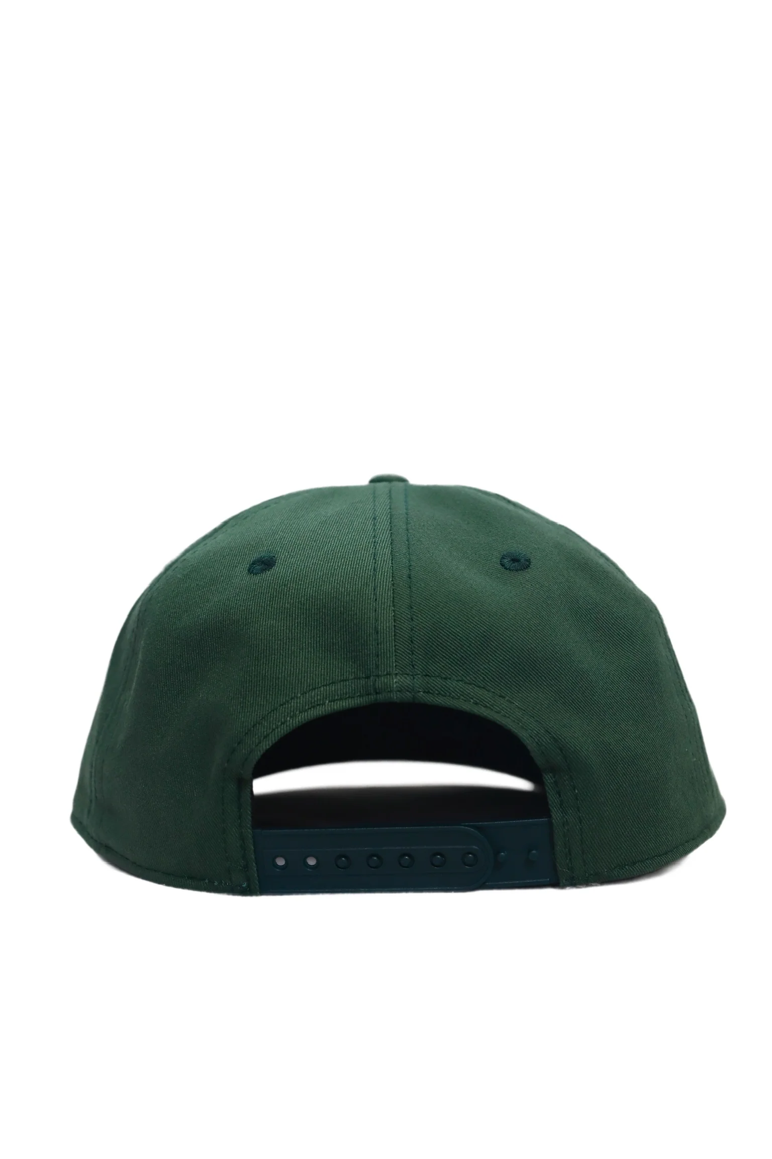Providence - Rad Dad Snapback in Green - Image 3